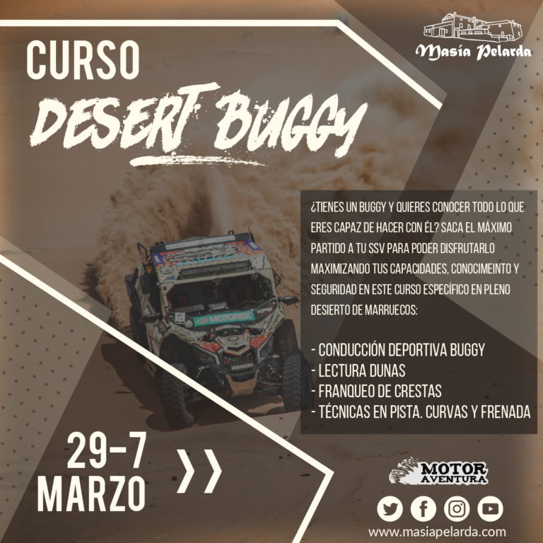 Read more about the article DESERT BUGGY